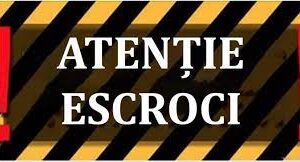 Casa de expediții nu face plata. Cum se poate rezolva problema?