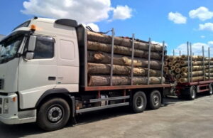 De ce au devenit o problemă camioanele încărcate cu lemne și de ce nimeni nu o rezolvă? Editorial Alex Ciocan