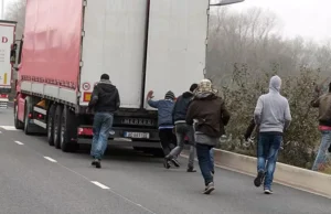 Șofer de camion amendat cu 9000 de lire pentru transport de migranți