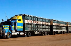 Trenurile rutiere din Australia trenuri rutiere Australia